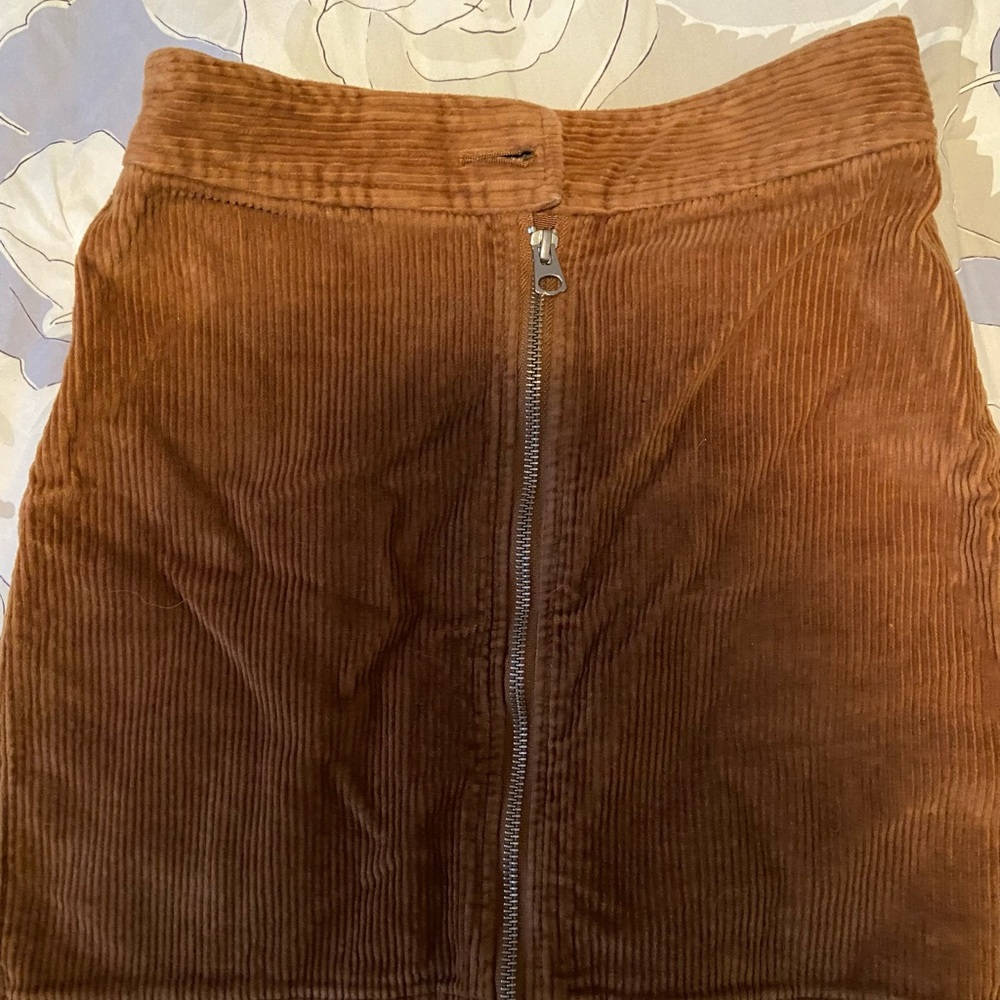 Aritzia skirt